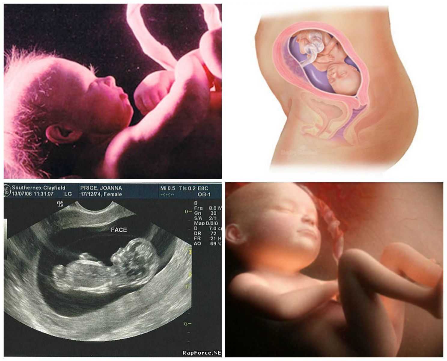 11 неделя беременности: развитие плода, ощущения мамы, фото