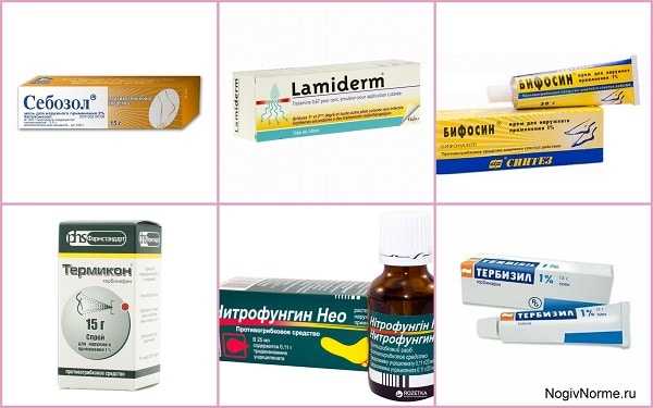Особенности использования противогрибковых препаратов при лечении антибиотиками