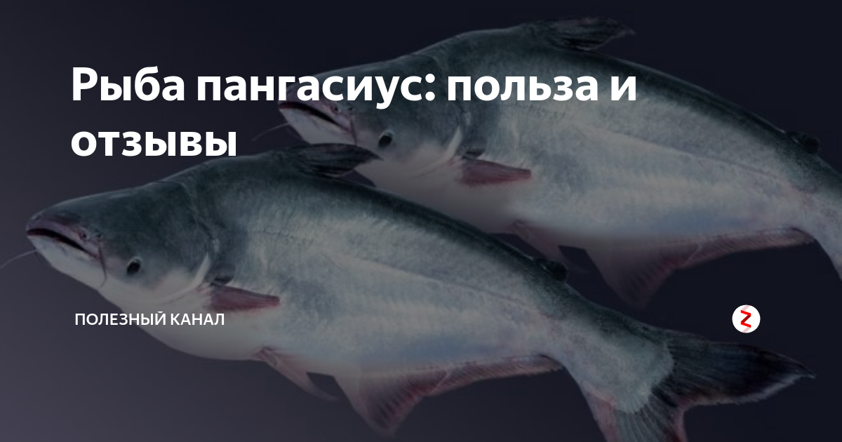 Пангасиус и телапия, что за рыбы? вред и польза.