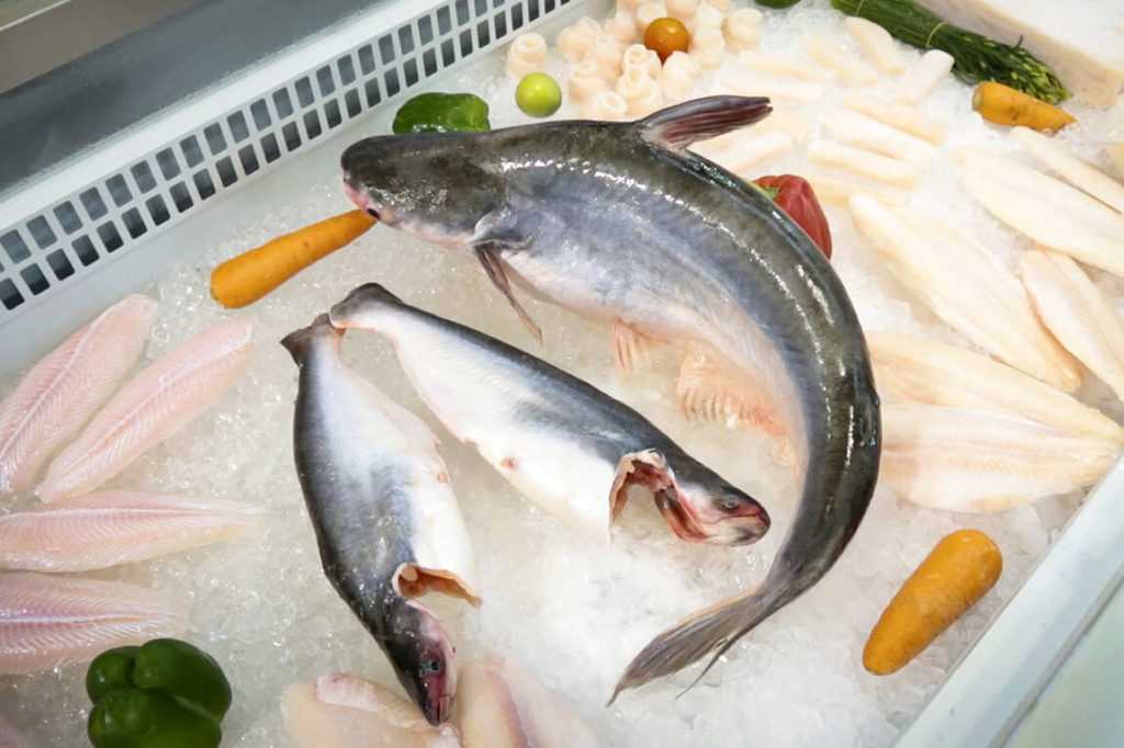 Чем полезна рыба пангасиус и кому ее нельзя есть