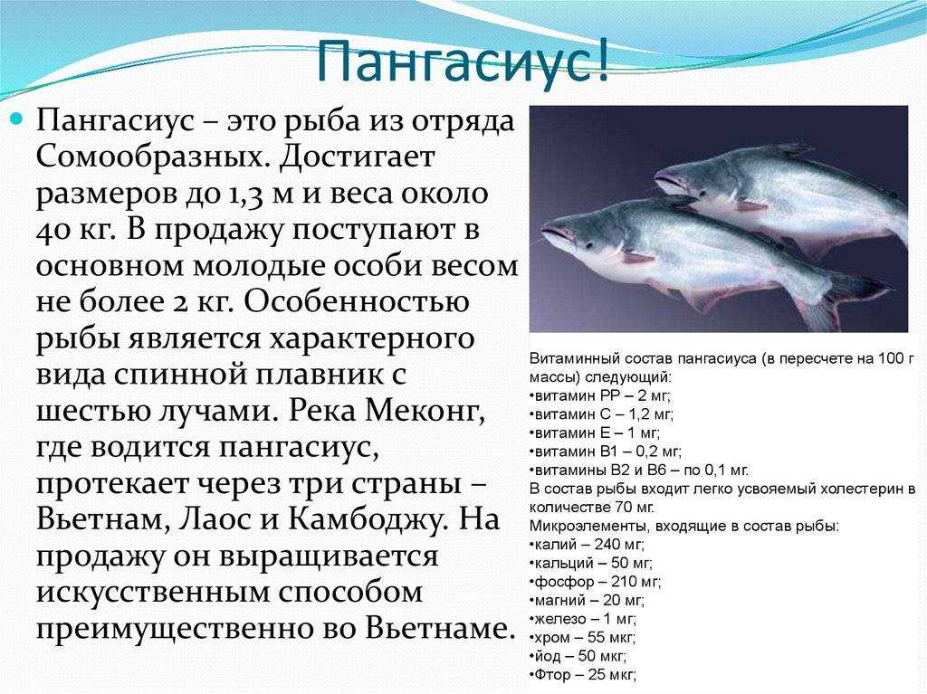 Польза и вред популярной рыбы пангасиус Пангасиус — польза и возможный вред Пангасиус – речная рыба из семейства сомовых, которая обитает во Вьетнаме Эта