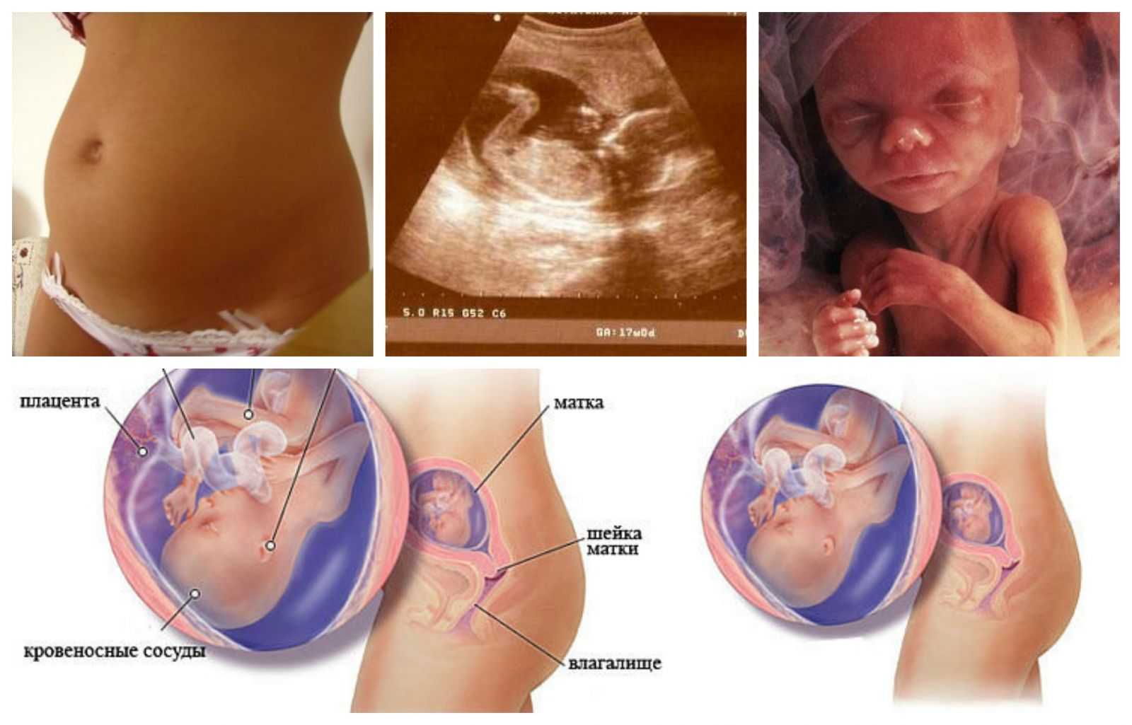 16 неделя беременности: что происходит с малышом и мамой, развитие плода, ощущения женщины, фото узи, живота