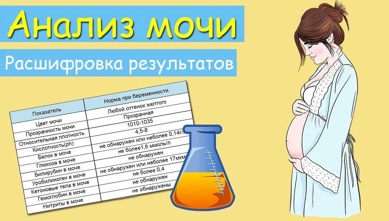 Причины неприятного запаха мочи при беременности на ранних сроках | moninomama.ru