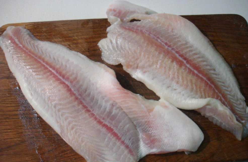 Пангасиус: что за рыба, где обитает, польза и вред