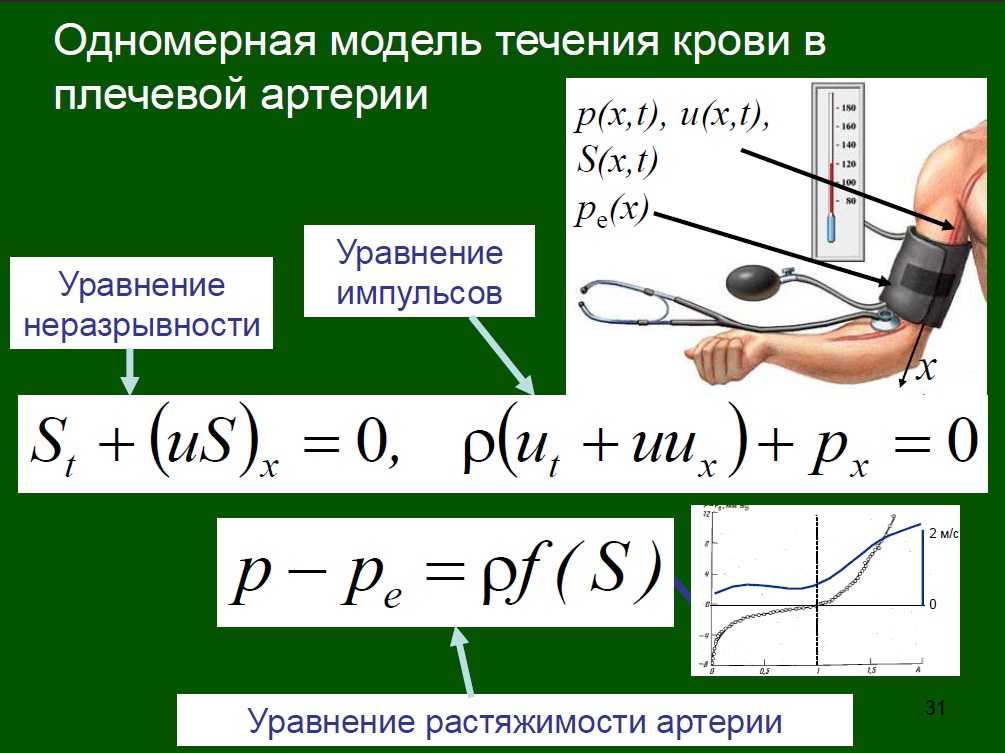 Николай сергеевич коротков - разработчик аускультативного метода измерения артериального давления