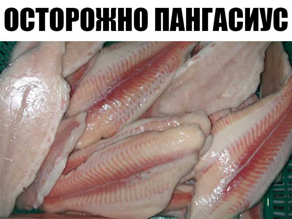 Пангасиус: польза, вред, калорийность