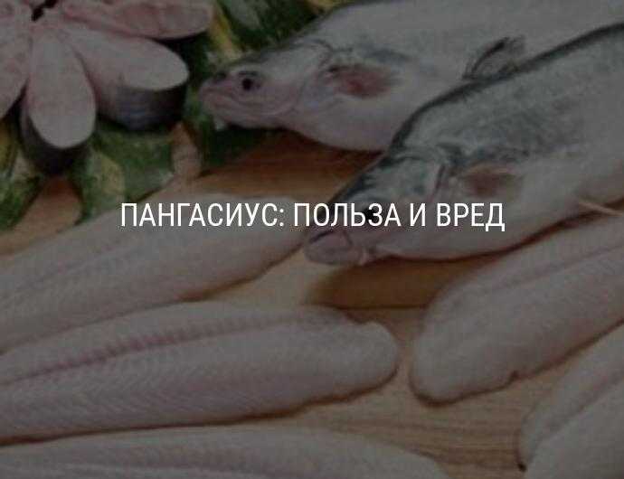 Пангасиус: польза и вред, состав и противопоказания