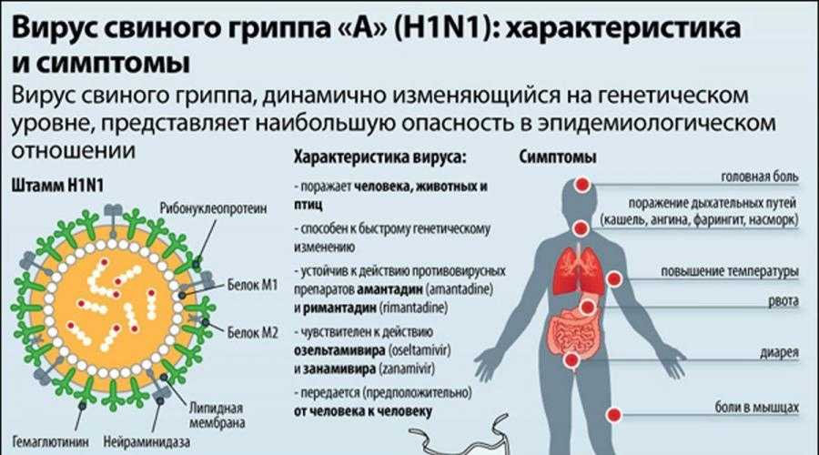 Чем отличается грипп от коронавируса по симптомам