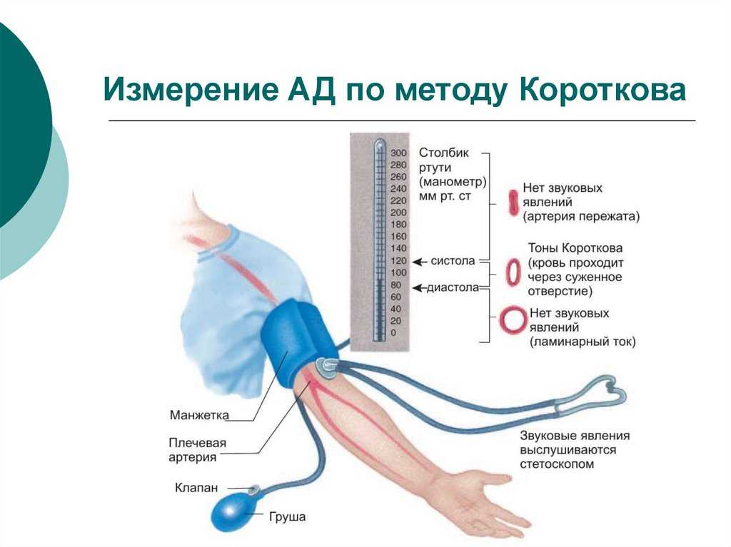 Измерение артериального давления по методу  Короткова  Измерение артериального давления по методу  Короткова  Показания определяет врач - сообщите о