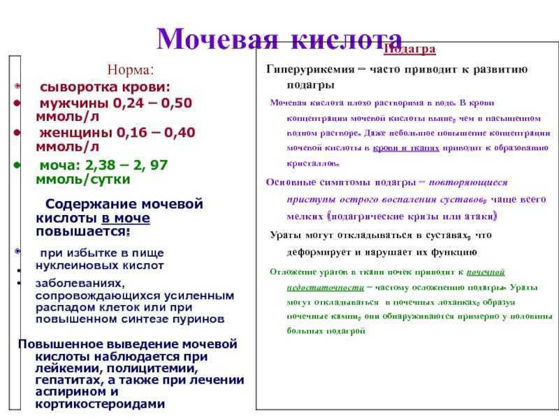О чем говорит повышенная мочевая кислота в крови