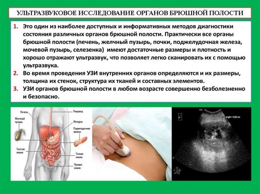 Мрт брюшной полости: какие органы проверяют