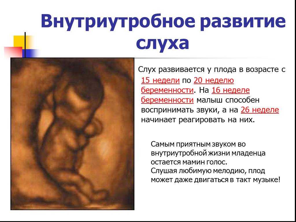 16 неделя беременности: что происходит с малышом и мамой, какие исследования проводятся