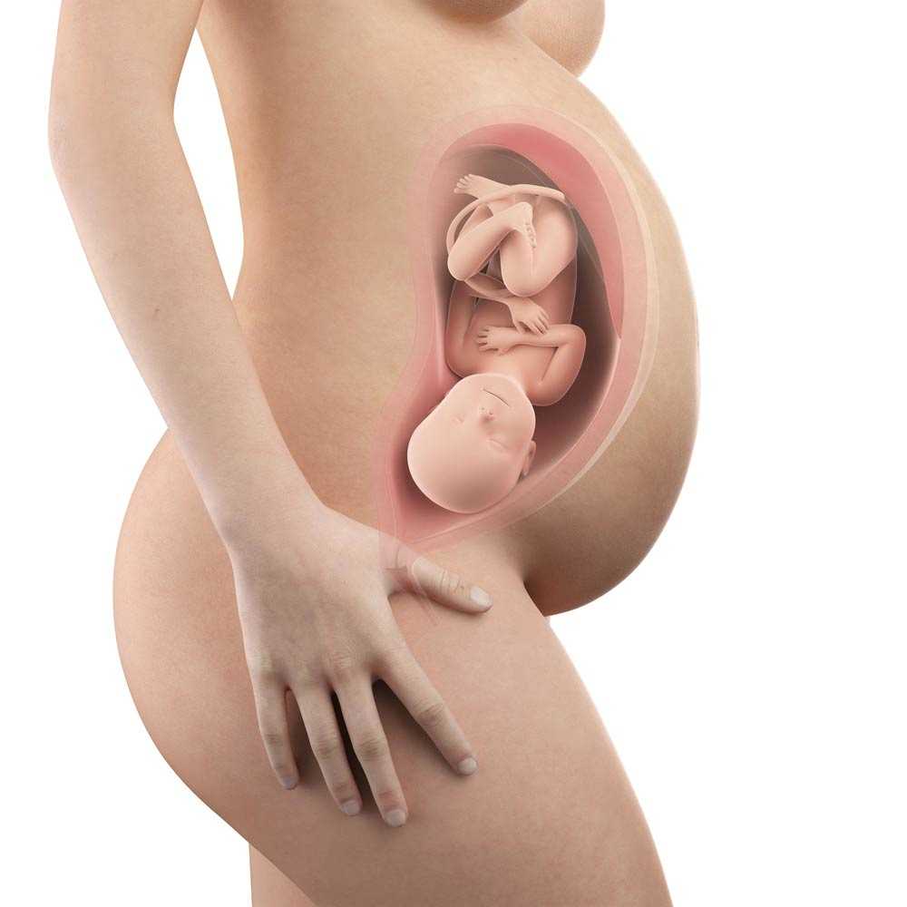 11 неделя беременности: что происходит, ощущения