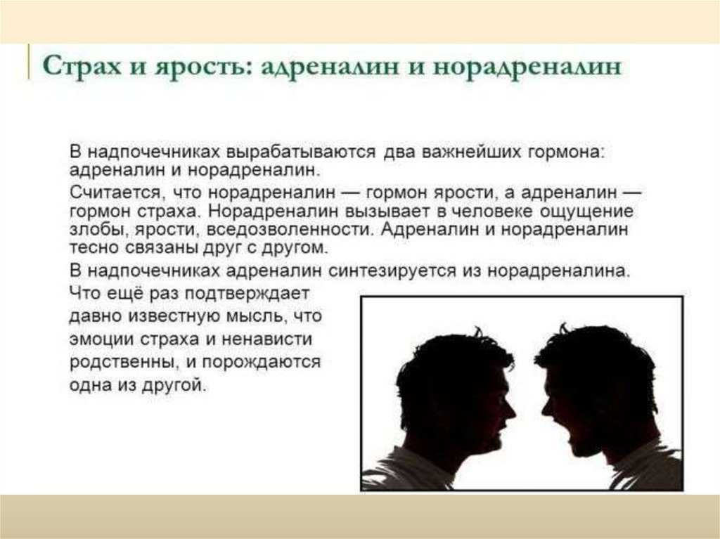 Что нужно знать об адреналине и норадреналине