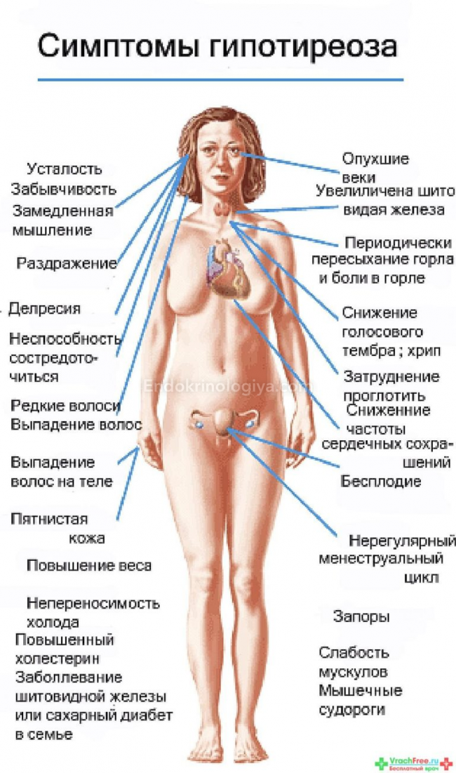 Способ применения и противопоказания к приему йодомарина при гипотиреозе