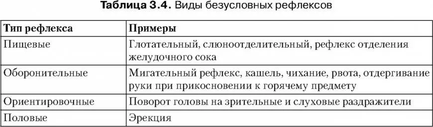 Рефлексы