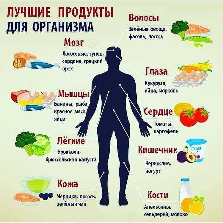 Укрепление сухожилий и связок препараты. питание для укрепления связок и суставов