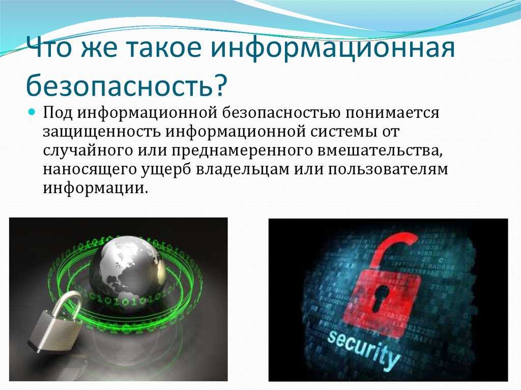 Узи | что показывает узи | как делают узи «омикрон - томоград»