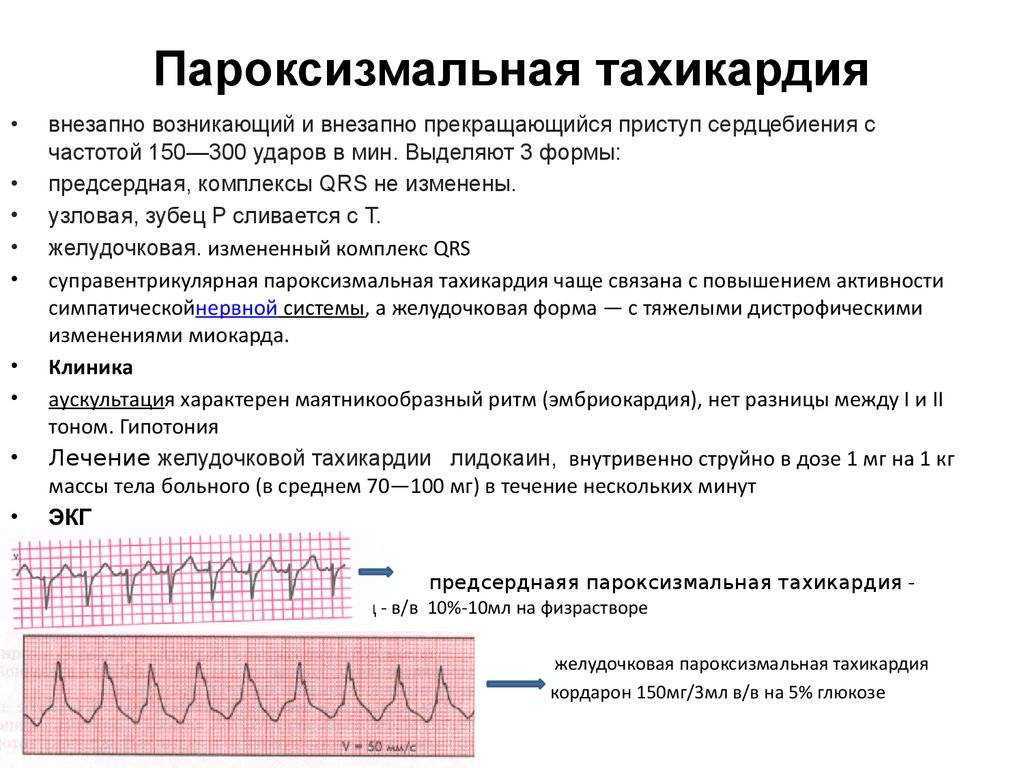 Тошнит при месячных и сильно болит живот: почему так бывает в это время?