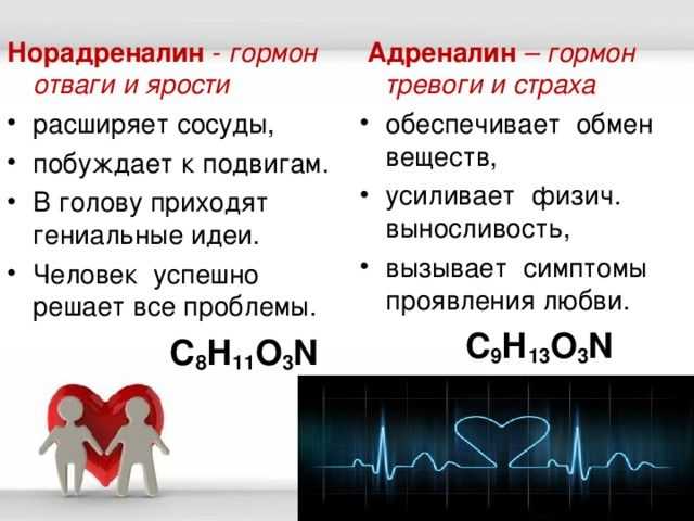 Норадреналин. адреналин - беги; норадреналин - нападай; кортизол - замри. | наука для всех простыми словами