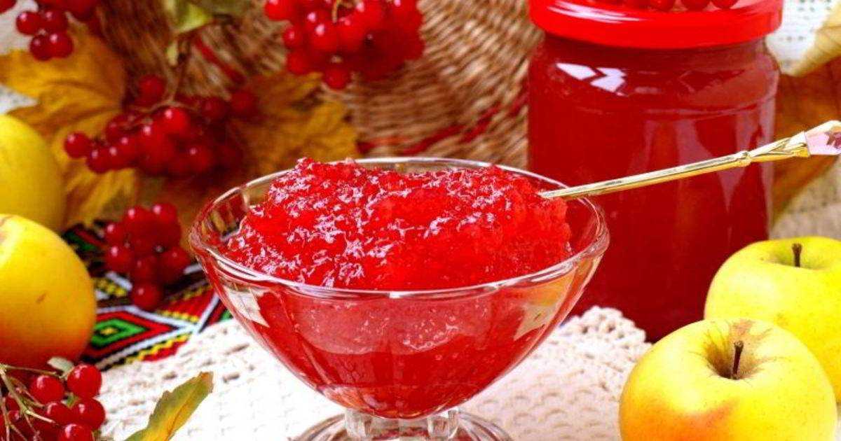 Варенье из калины: польза и вред красного калинового варенья