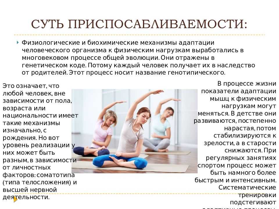 Влияние физических упражнений на сердечно-сосудистую систему: исследования и мнение экспертов