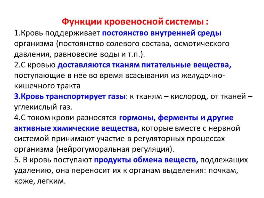Конспект "кровеносная система. кровообращение" - учительpro