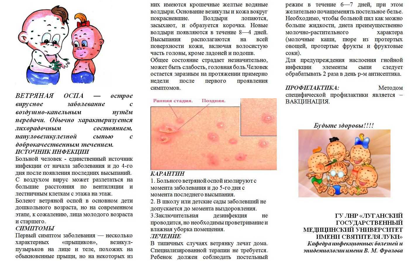Детская розеола – все, что нужно знать