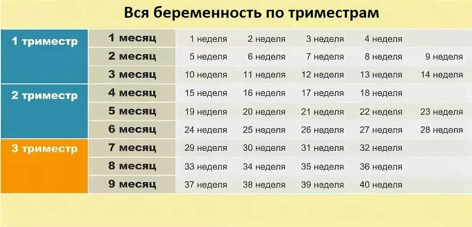 ➤ 37 неделя беременности всё что нужно знать будущим родителям