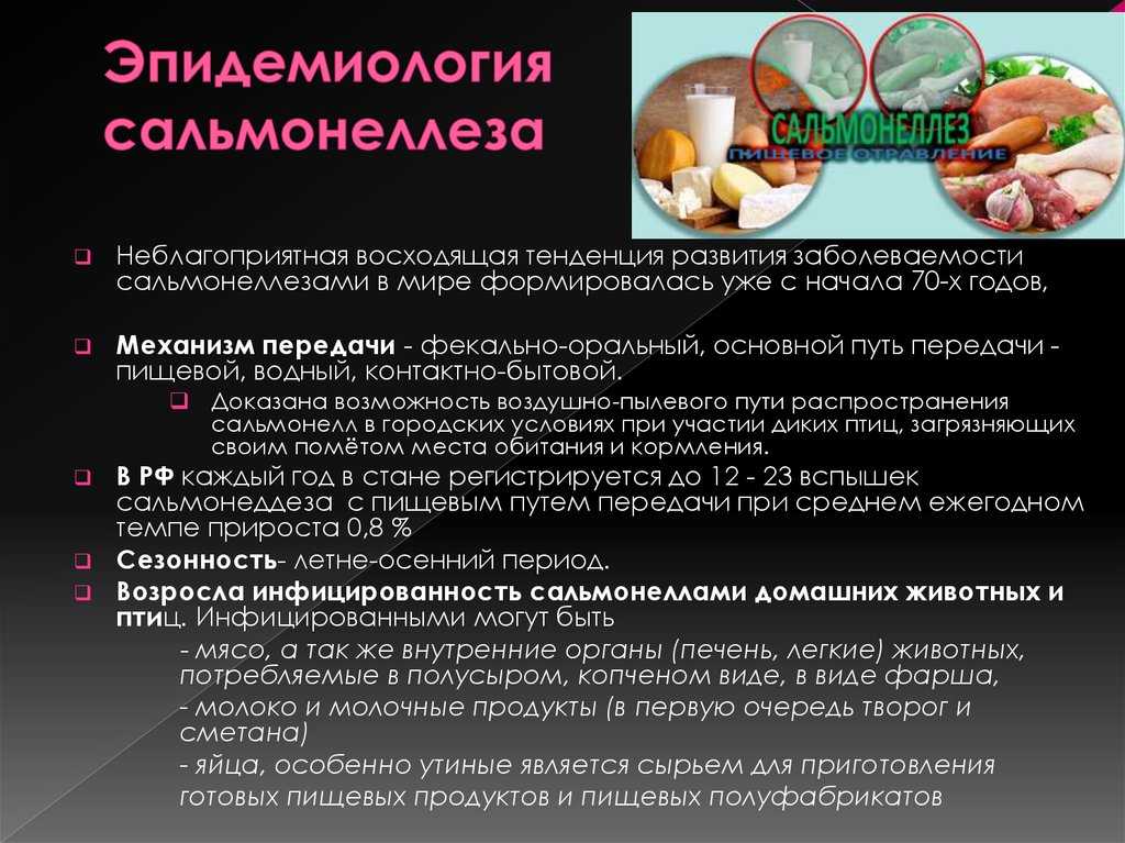 Возможные пути передачи инфекции при сальмонеллезе