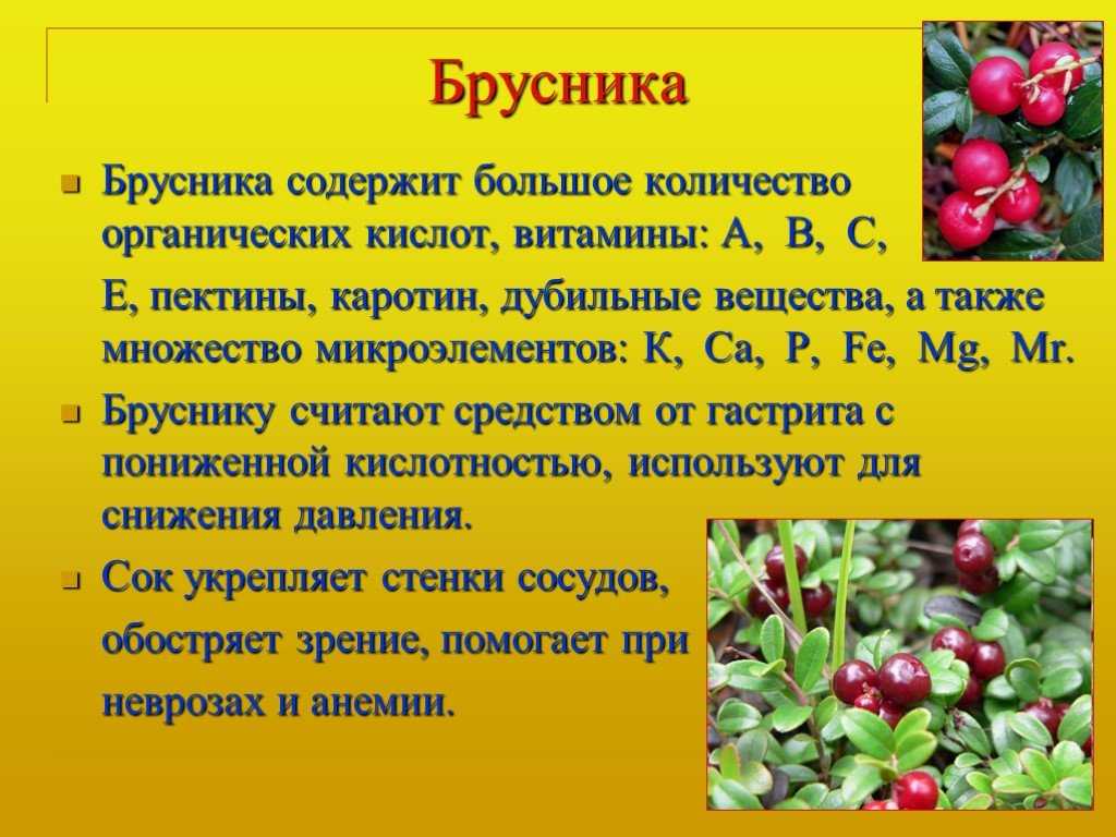 Брусника при сахарном диабете  Брусника при сахарном диабете 2 типа: польза ягод и листьев  При сахарном диабете любого типа множество растений могут