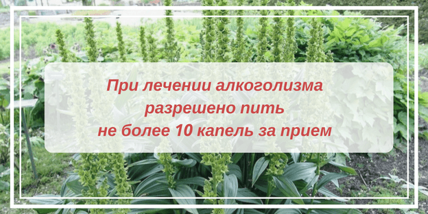 Чемеричная вода и алкоголь: применение при алкоголизме отравление.ру
чемеричная вода и алкоголь: применение при алкоголизме