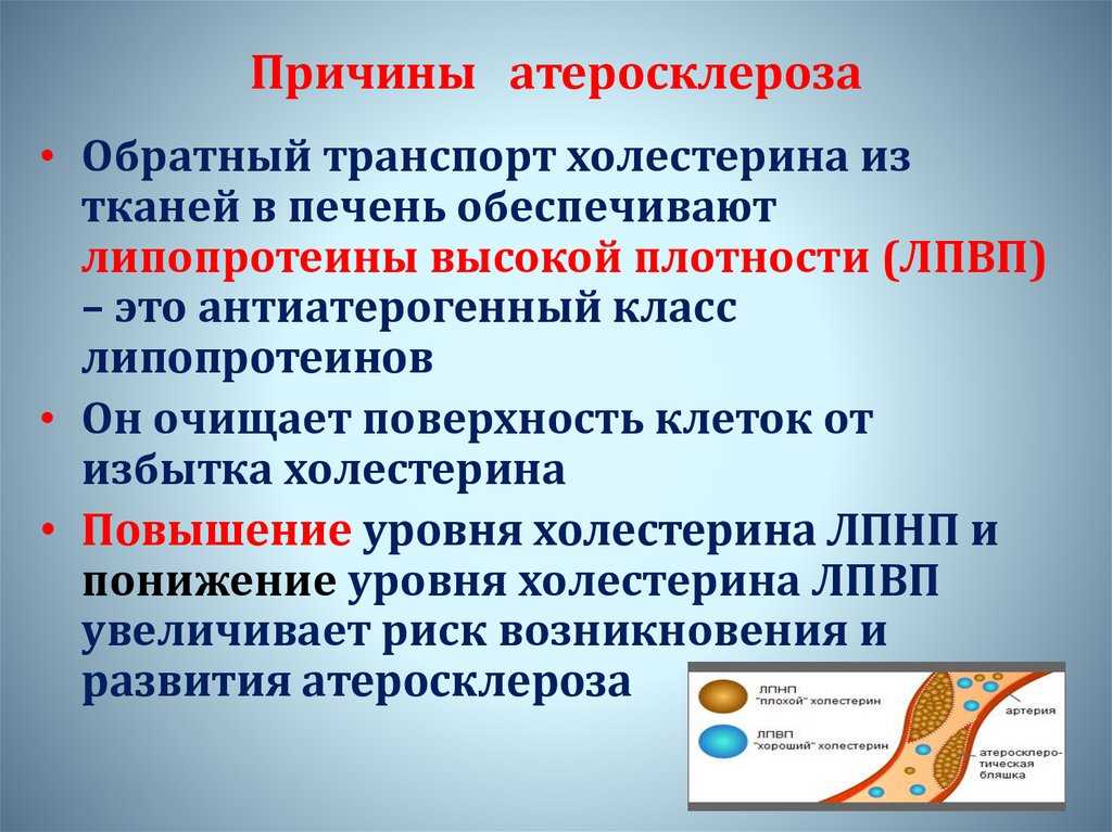 Для чего назначают дипиридамол при беременности – инструкция по применению на moy-kroha.info