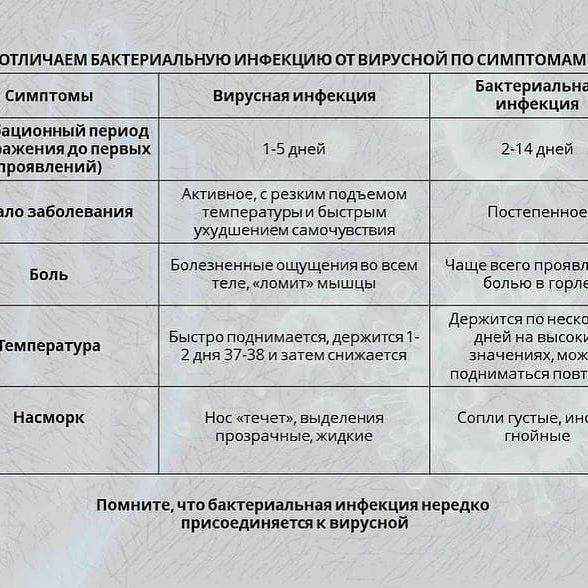 Вирусы и бактерии: что общего и в чем различия бактериальных и вирусных инфекций