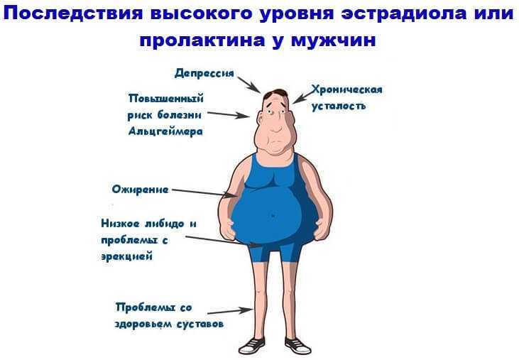 Эстрадиол – что это за гормон у женщин: норма и функции в организме