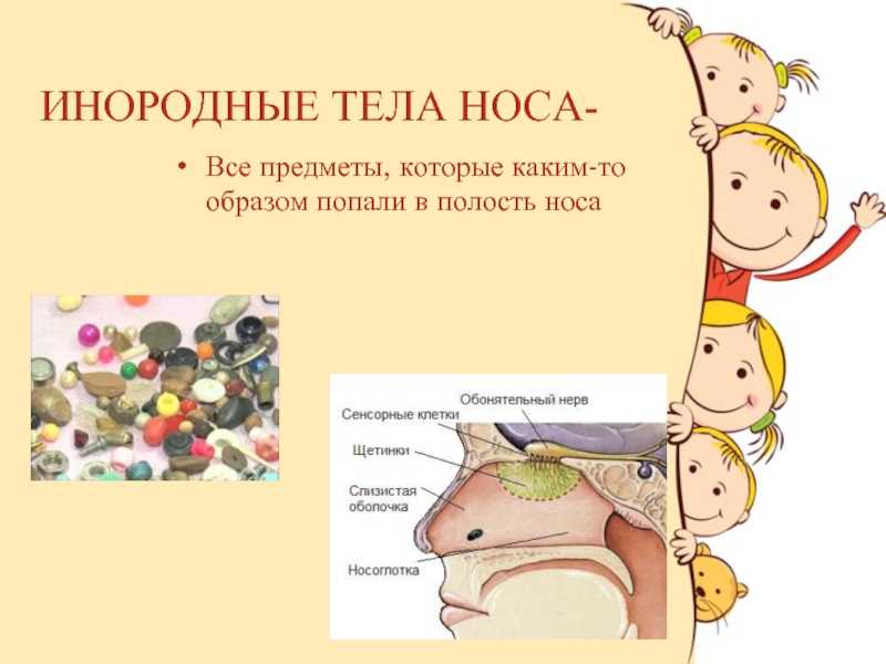 Если ребенок засунул в нос инородное тело: семечку, хлеб, бумагу, - как ему помочь дома?