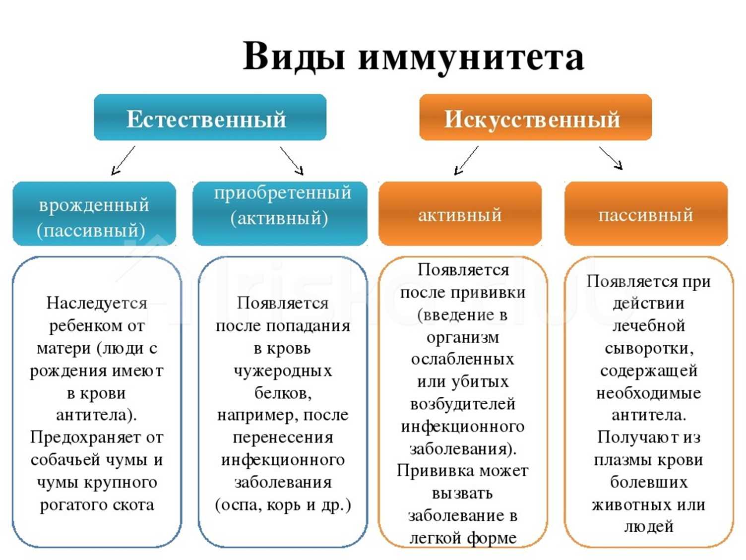 Ветряная оспа (ветрянка) у детей и взрослых: симптомы, осложнения, как не заразиться