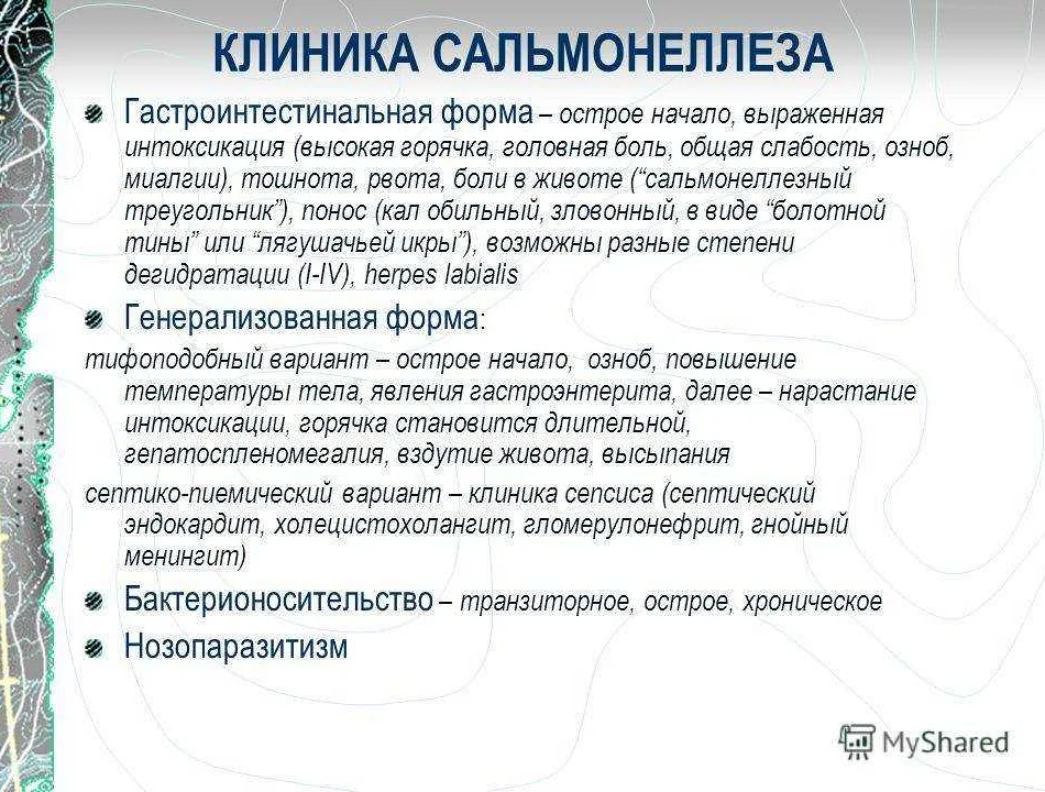 Где живёт сальмонелла? сальмонеллёз и его последствия