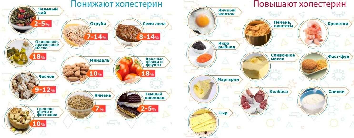 Пиво и холестерин: повышает ли пенный напиток уровень лпнп