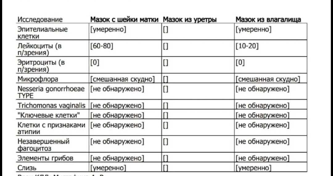 Мазок на флору у женщин. норма, таблица, расшифровка лейкоциты, эритроциты, что показывает при беременности