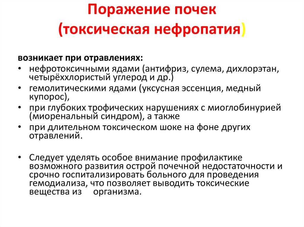 Заболевания почек: основные симптомы и признаки болезней почек