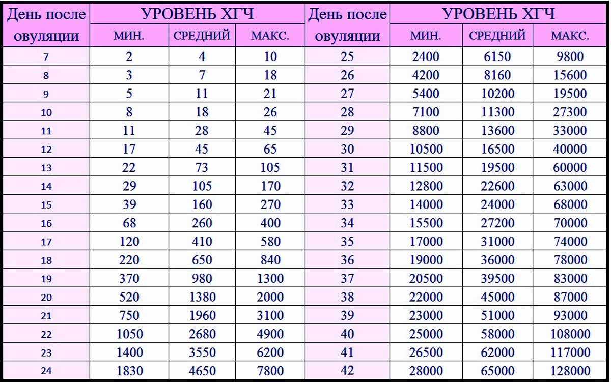 Анэбриония: что это, из-за чего происходит, может ли быть ошибочным диагноз