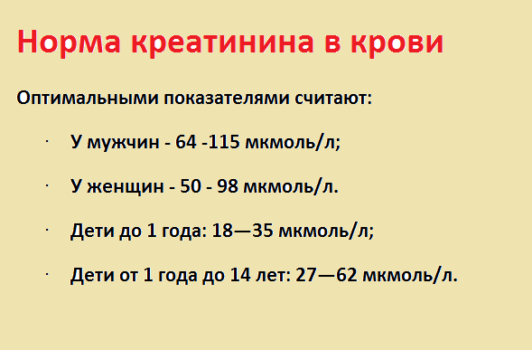 Клиренс креатинина для диагностики функциональности почек