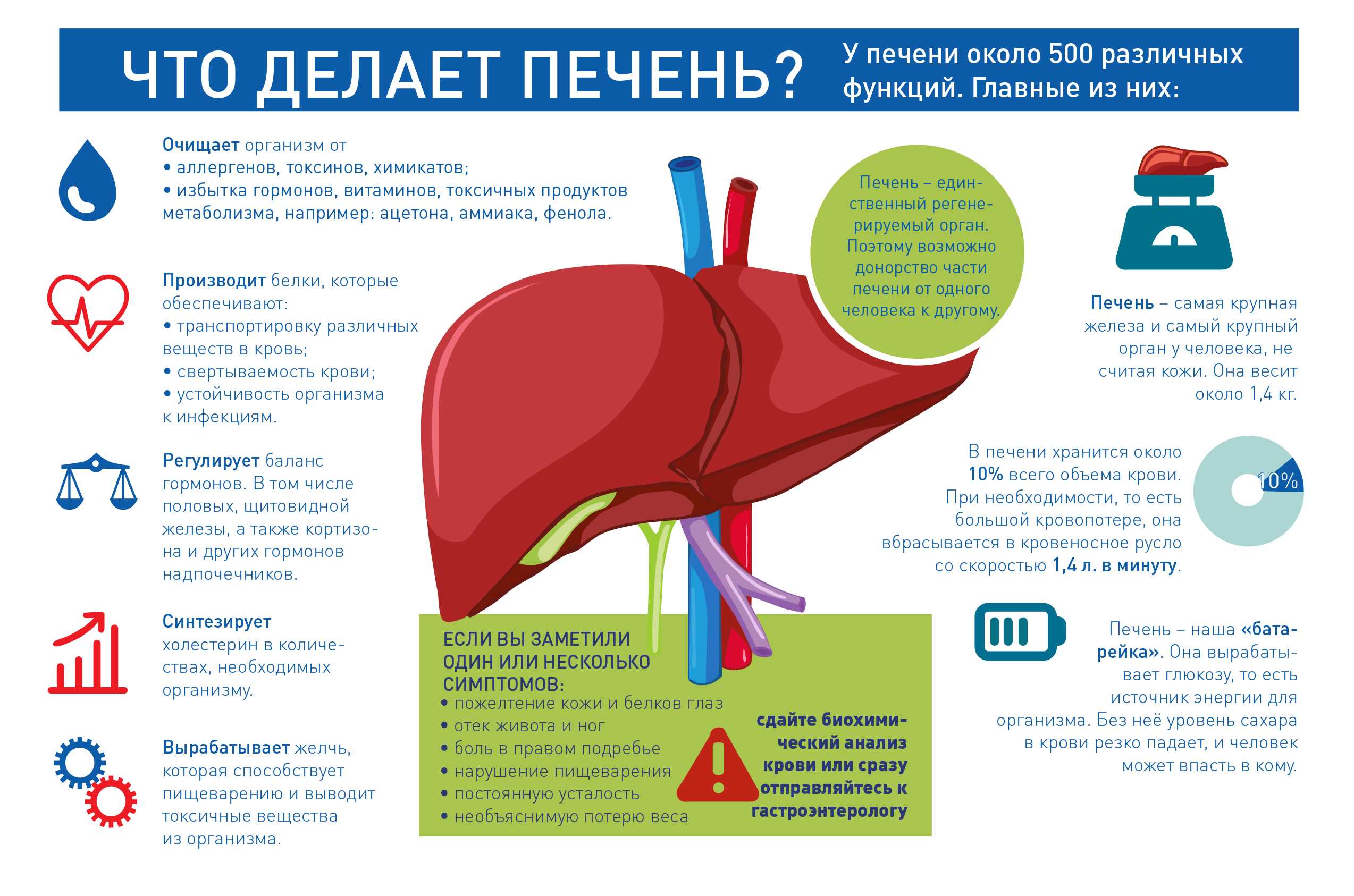 Гормоны печени – регуляторы жизненных процессов организма