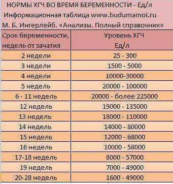 Анализ крови и мочи на хгч: когда тест покажет беременность и через сколько дней после зачатия начинает расти?