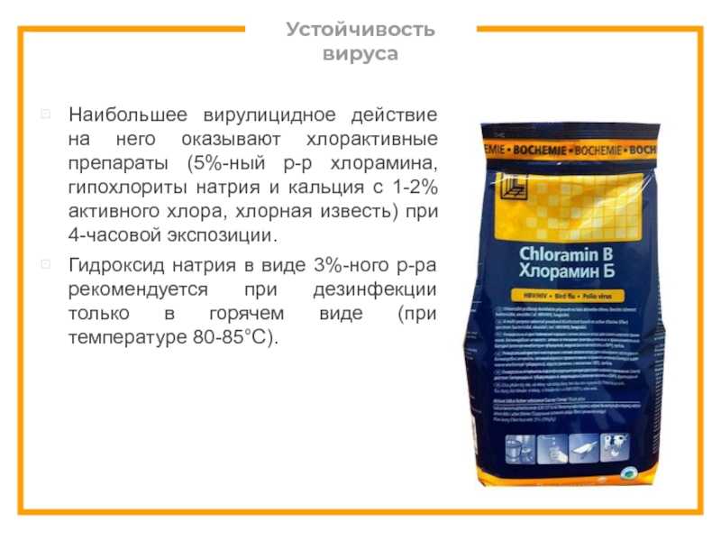 Приготовление раствора хлорамина разной концентрации. алгоритм приготовления хлорамина
