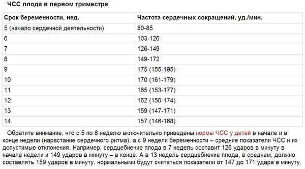 Сердцебиение плода по неделям: таблица чсс, нормы у мальчиков и девочек