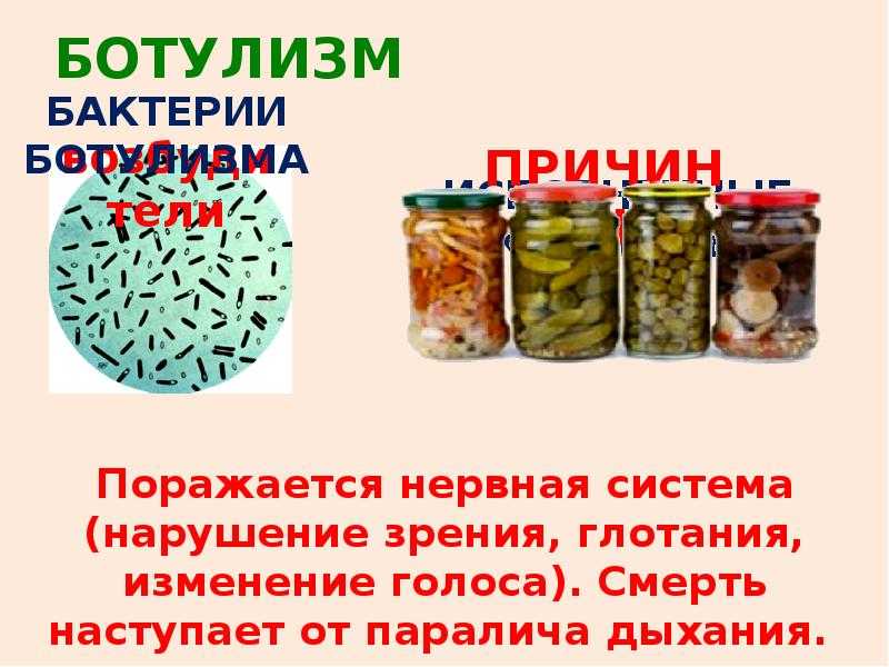 Ботулизм в огурцах с уксусом: возможность инфекции и способы предотвращения