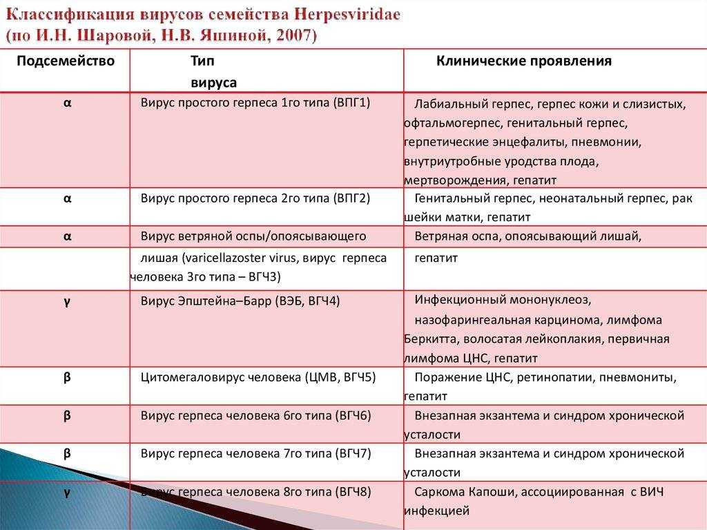 «герпес: вооружен и очень опасен»