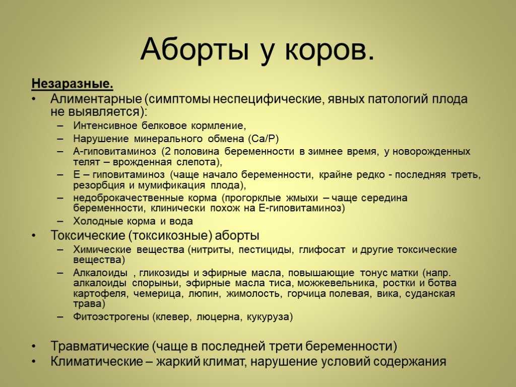 Прерывание беременности